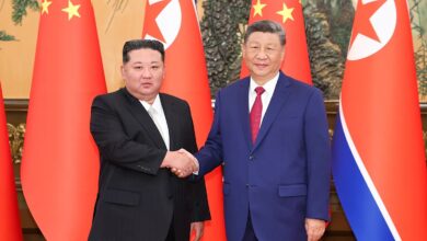 XI